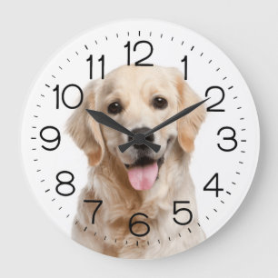 Golden Retriever On White Große Wanduhr