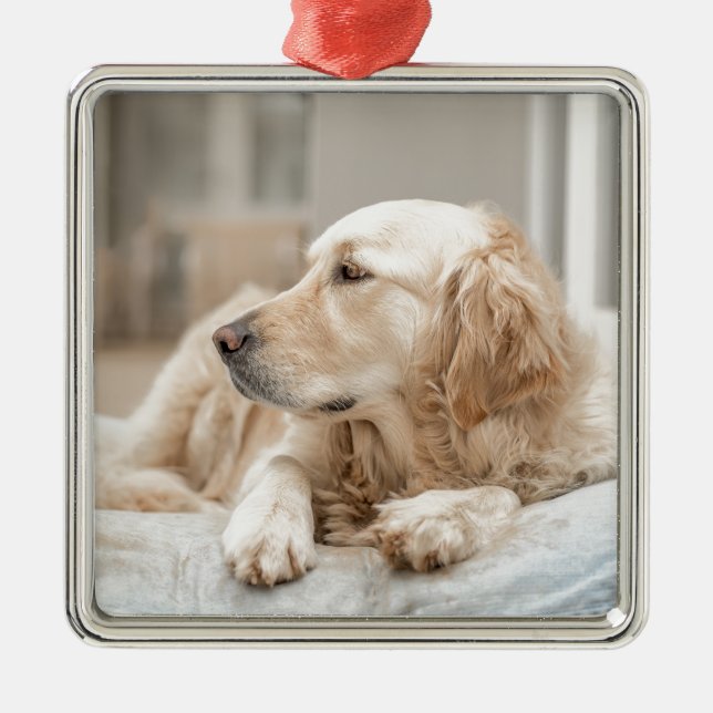 Golden Retriever Ornament Aus Metall (Vorne)