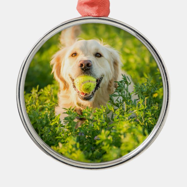 Golden Retriever Ornament Aus Metall (Vorne)