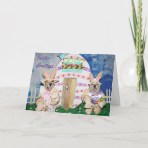 Golden Retriever OsterBunnies und Eierhaus Karte
