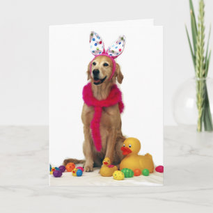 Golden retriever-Osterhase Feiertagskarte