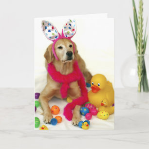 Golden retriever-Osterhase Feiertagskarte