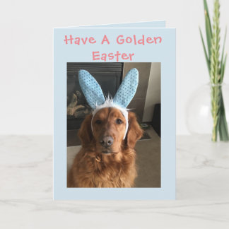 Golden retriever Ostern Feiertagskarte