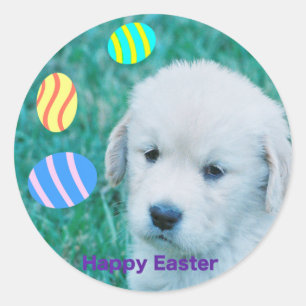 Golden retriever-Ostern-Welpen-Karten u. Geschenke Runder Aufkleber