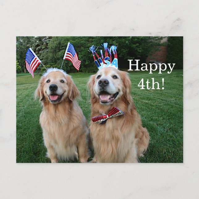 Golden Retriever Outdoor Independence Day Postkarte (Vorderseite)