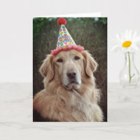 Golden Retriever & Partyhut mit Alles Gute zum Geb