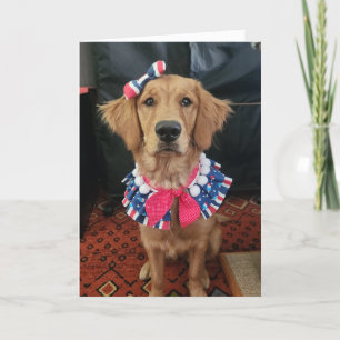 Golden Retriever Patriotic, 4. Juli Grüße Dankeskarte