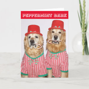 Golden Retriever Peppermint Bark Karte