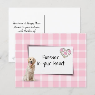 Golden Retriever Pet Beileid Loss Postkarte
