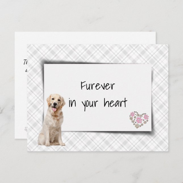 Golden Retriever Pet Beileid Loss Postkarte (Vorne/Hinten)