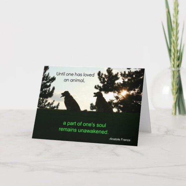 Golden Retriever Pet Sympathie Card Karte (Vorderseite)