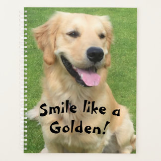 Golden Retriever Planer