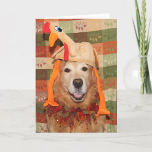 Golden Retriever Plucking Perfekter Erntedank Karte