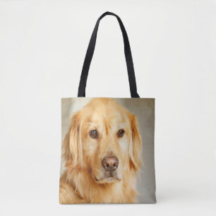 Golden Retriever Portrait