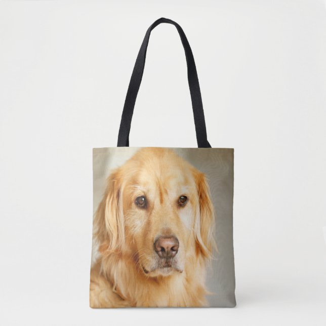 Golden Retriever Portrait (Vorderseite)