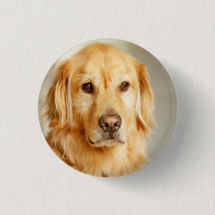 Golden Retriever Portrait Button