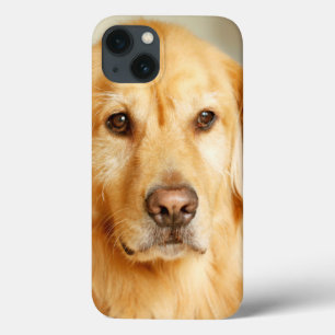 Golden Retriever Portrait Case-Mate iPhone Hülle