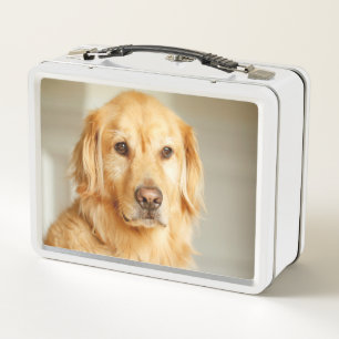 Golden Retriever Portrait Metall Brotdose