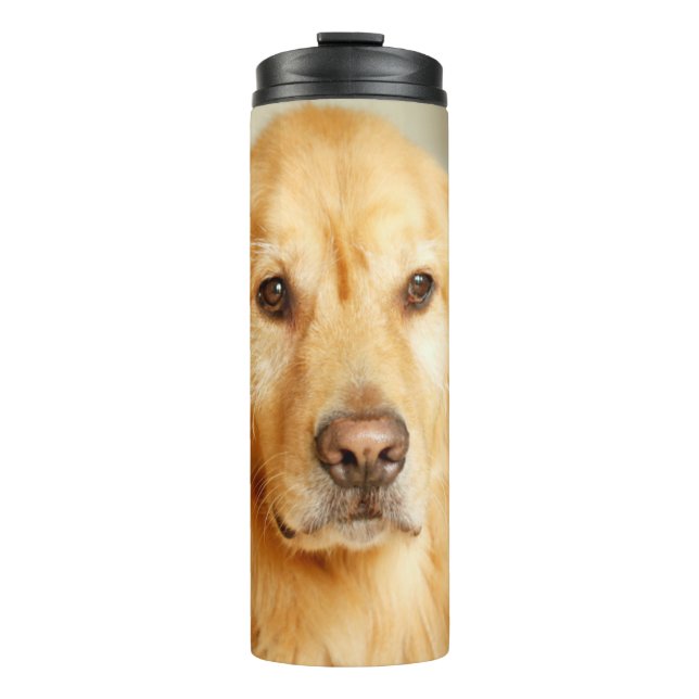 Golden Retriever Portrait Thermosbecher (Vorderseite)