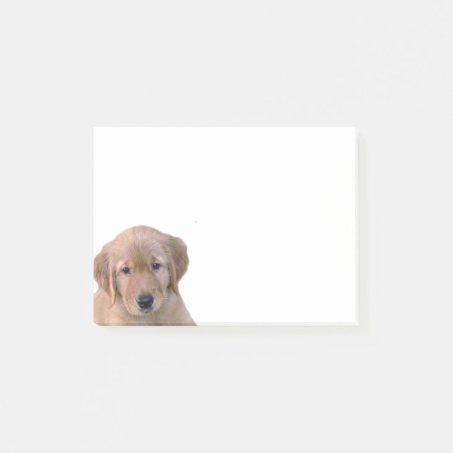 Golden retriever-Post-it-Zettel-Auflage Post-it Klebezettel (Vorderseite)