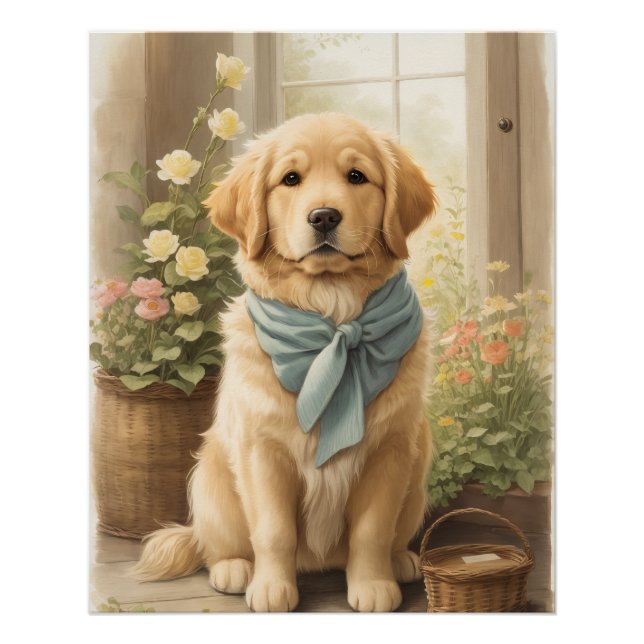 Golden Retriever Poster (Vorderseite)