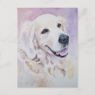 Golden Retriever Postkarte