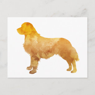 Golden Retriever Postkarte