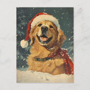 Golden Retriever Postkarte