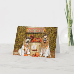 Golden Retriever Pumpkin Stand Halloween Karte