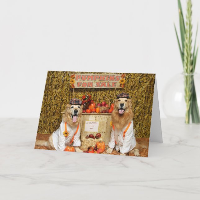 Golden Retriever Pumpkin Stand Halloween Karte (Vorderseite)