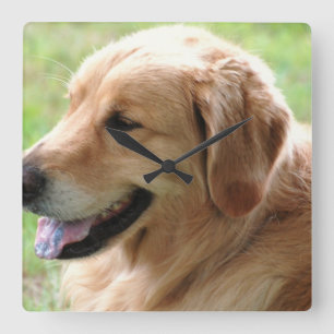 Golden Retriever Pup Clock Quadratische Wanduhr