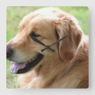 Golden Retriever Pup Clock Quadratische Wanduhr