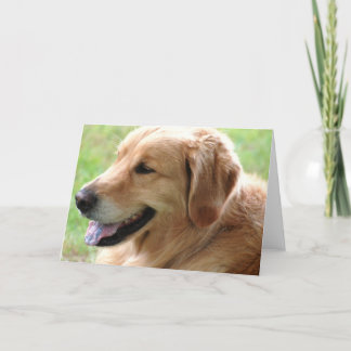 Golden Retriever Pup Grußkarte Karte