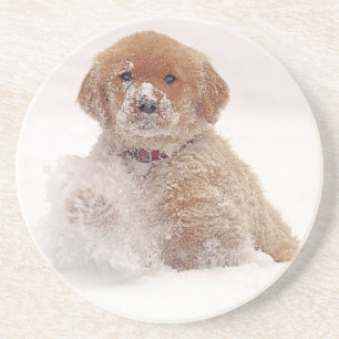 Golden Retriever Pup im Schnee Getränkeuntersetzer
