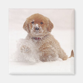 Golden Retriever Pup im Schnee Magnet