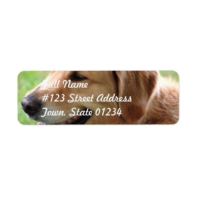 Golden Retriever Pup Mailing Labels (Vorne)