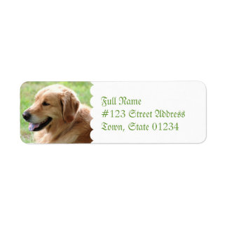 Golden Retriever Pup Rücksendeadresse Mailing Labe