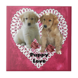 Golden Retriever Puppies Fliese