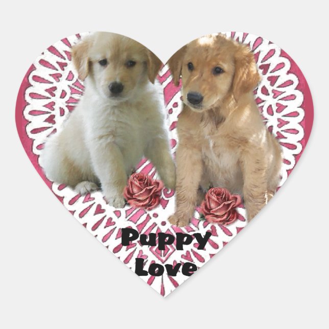 Golden Retriever Puppies Herz-Aufkleber (Vorderseite)
