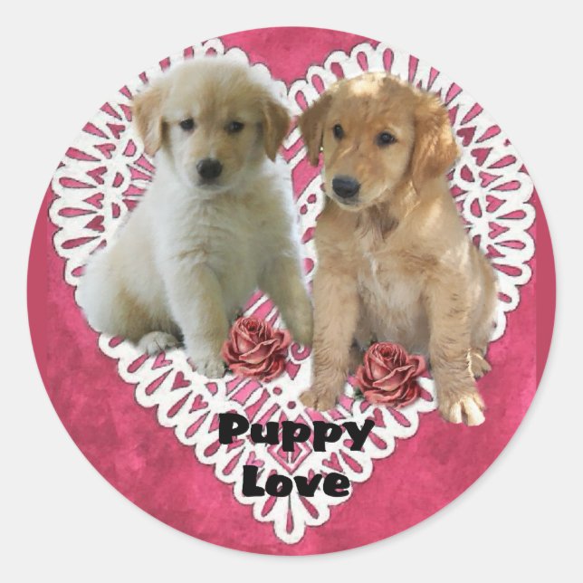 Golden Retriever Puppies Runder Aufkleber (Vorderseite)