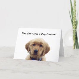 Golden Retriever Puppy Abschluss Card Karte
