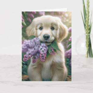 Golden Retriever Puppy am Muttertag mit Lilacs Karte
