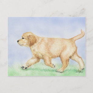 Golden Retriever Puppy Art Postkarte
