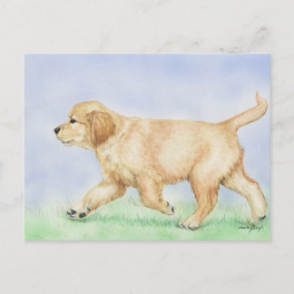 Golden Retriever Puppy Art Postkarte