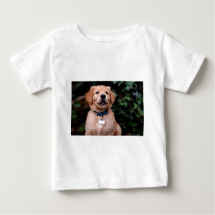 Golden Retriever Puppy Baby T-shirt