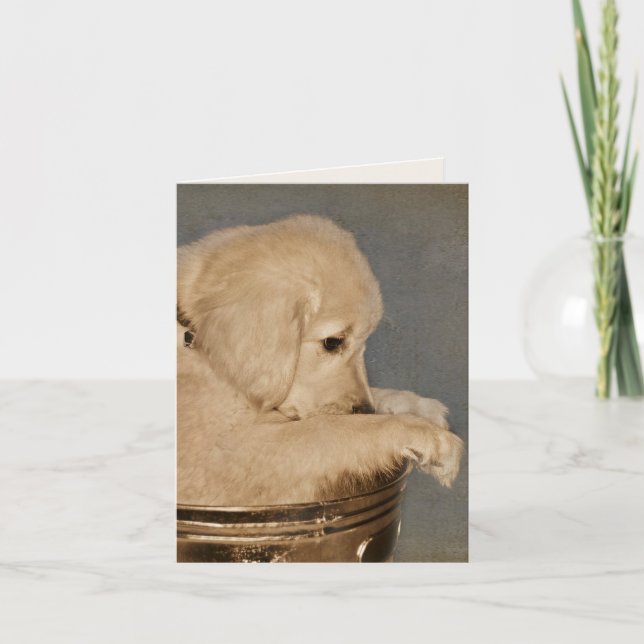 Golden Retriever Puppy Blank Notecard Karte (Vorderseite)