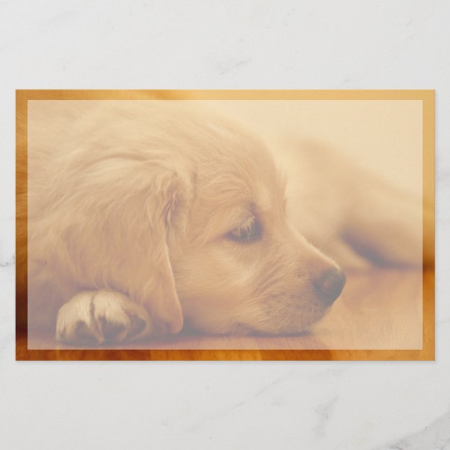Golden Retriever Puppy Briefpapier (Vorderseite)
