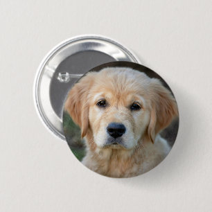 Golden Retriever Puppy Button