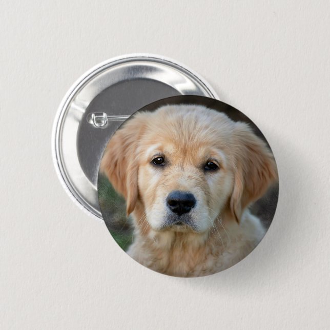 Golden Retriever Puppy Button (Vorne & Hinten)
