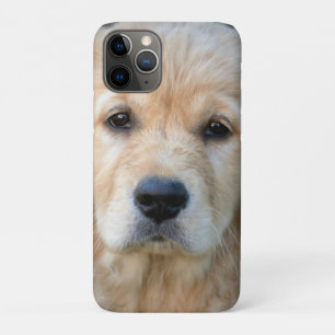 Golden Retriever Puppy Case-Mate iPhone Hülle